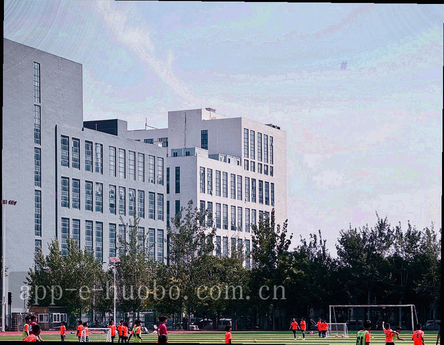 深色背景上的四块展签式信息图，分别标注费用、排名、客户端与赛程